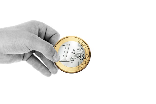 jedno euro