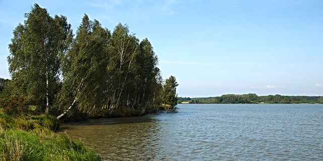 rybník u Třeboně